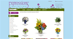 Desktop Screenshot of expressions24-7.com